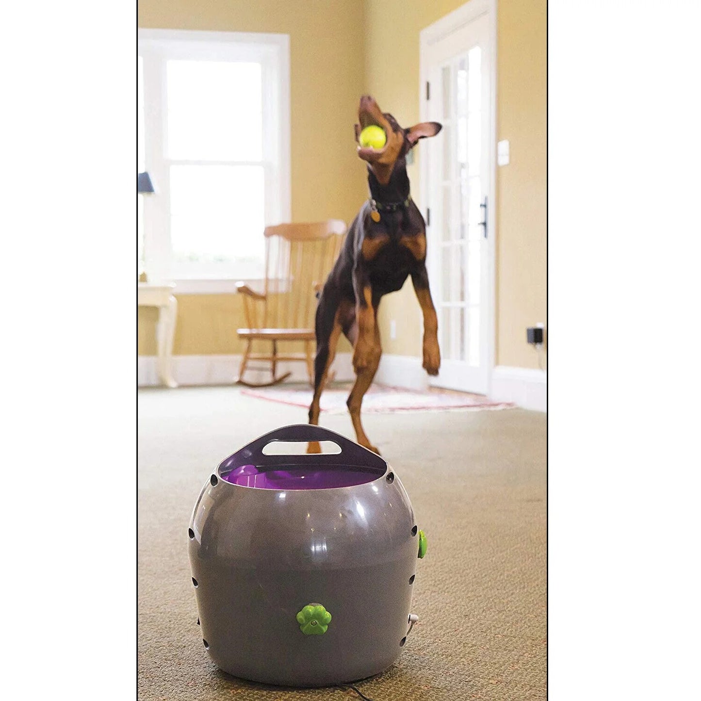 Petsafe Automatic Ball Launcher - Dog Outdoor Tennis Ball Thrower