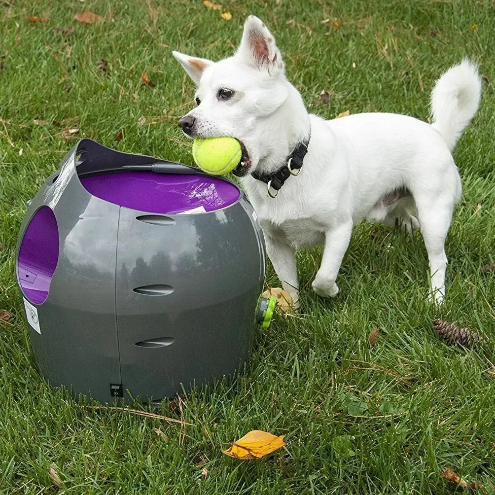 Petsafe Automatic Ball Launcher - Dog Outdoor Tennis Ball Thrower
